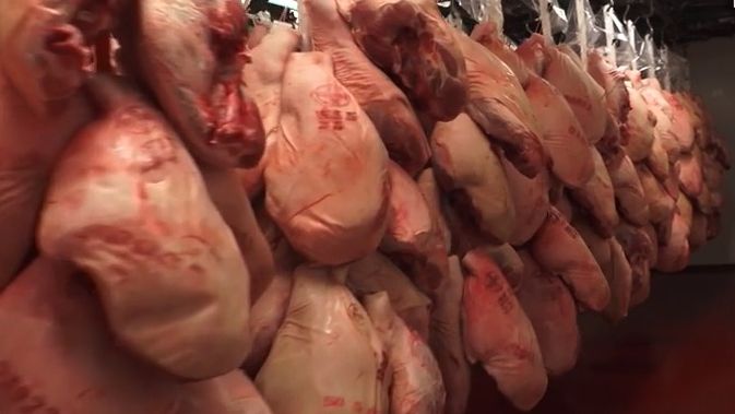 V Evropě začíná chybět maso. Jeho cena poletí prudce nahoru